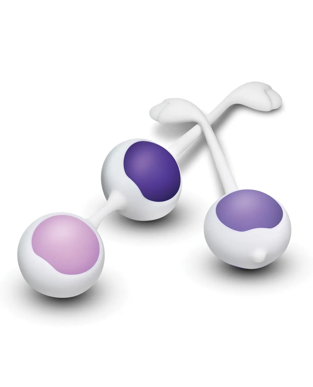 Blush Wellness Kegel Training Kit Wellness